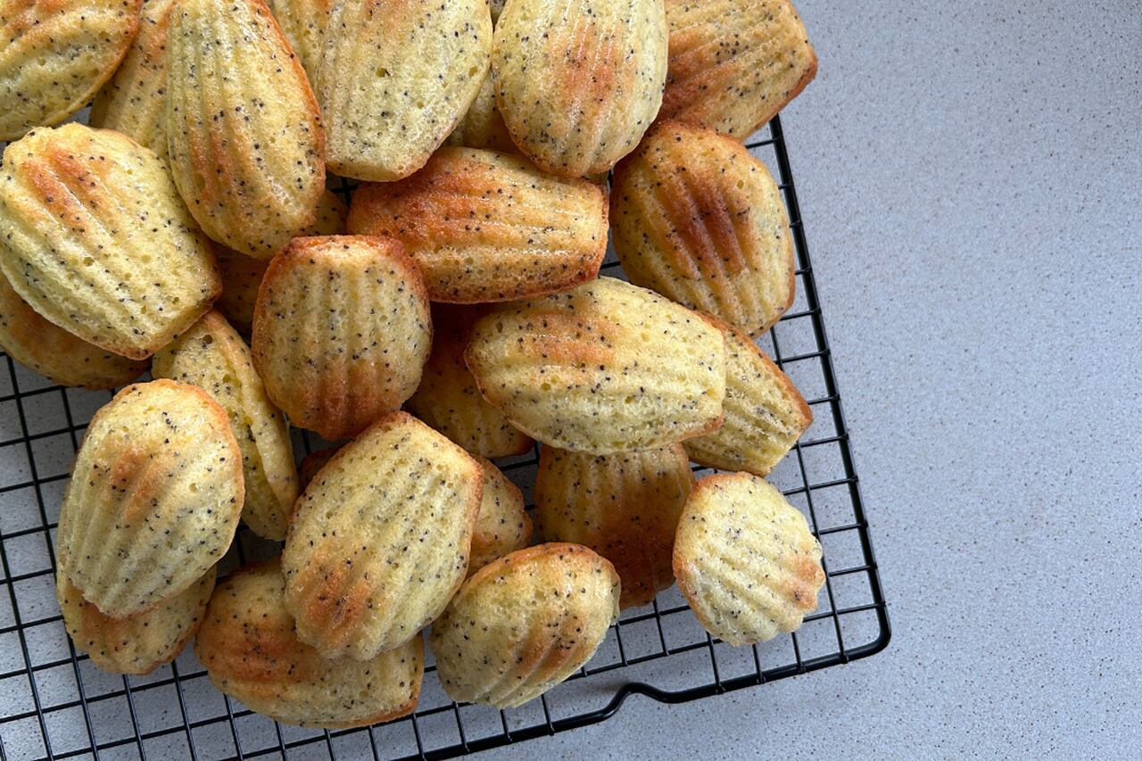 Cytrynowe magdalenki z makiem