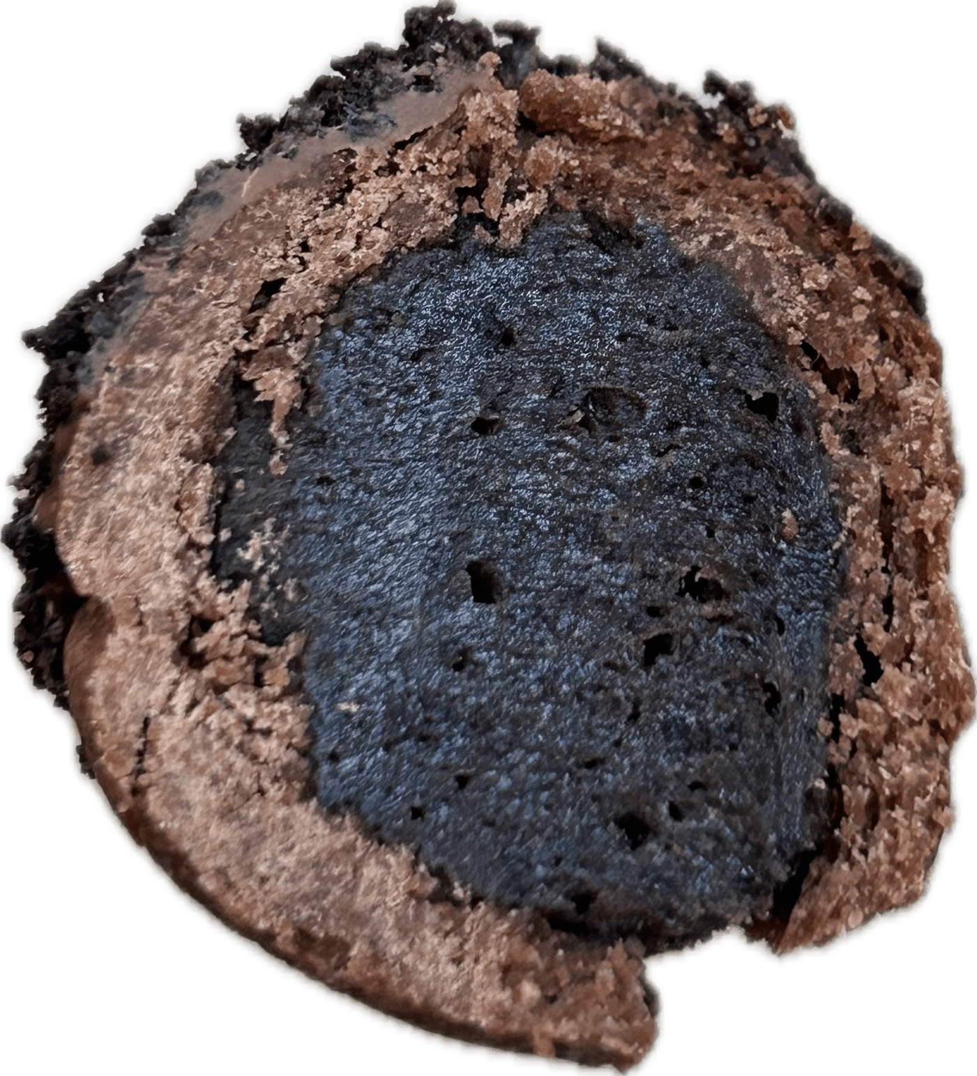 Oreo